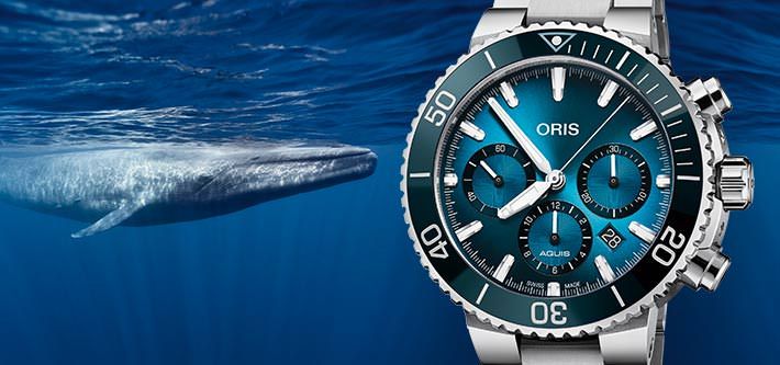 A Magnificent Oris Watch For The Majestic Blue Whale